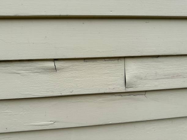 Best Custom Trim and Detailing for Siding  in South Riding, VA